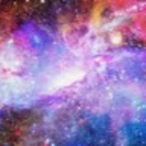 Meet your Posher, Donovan bowman